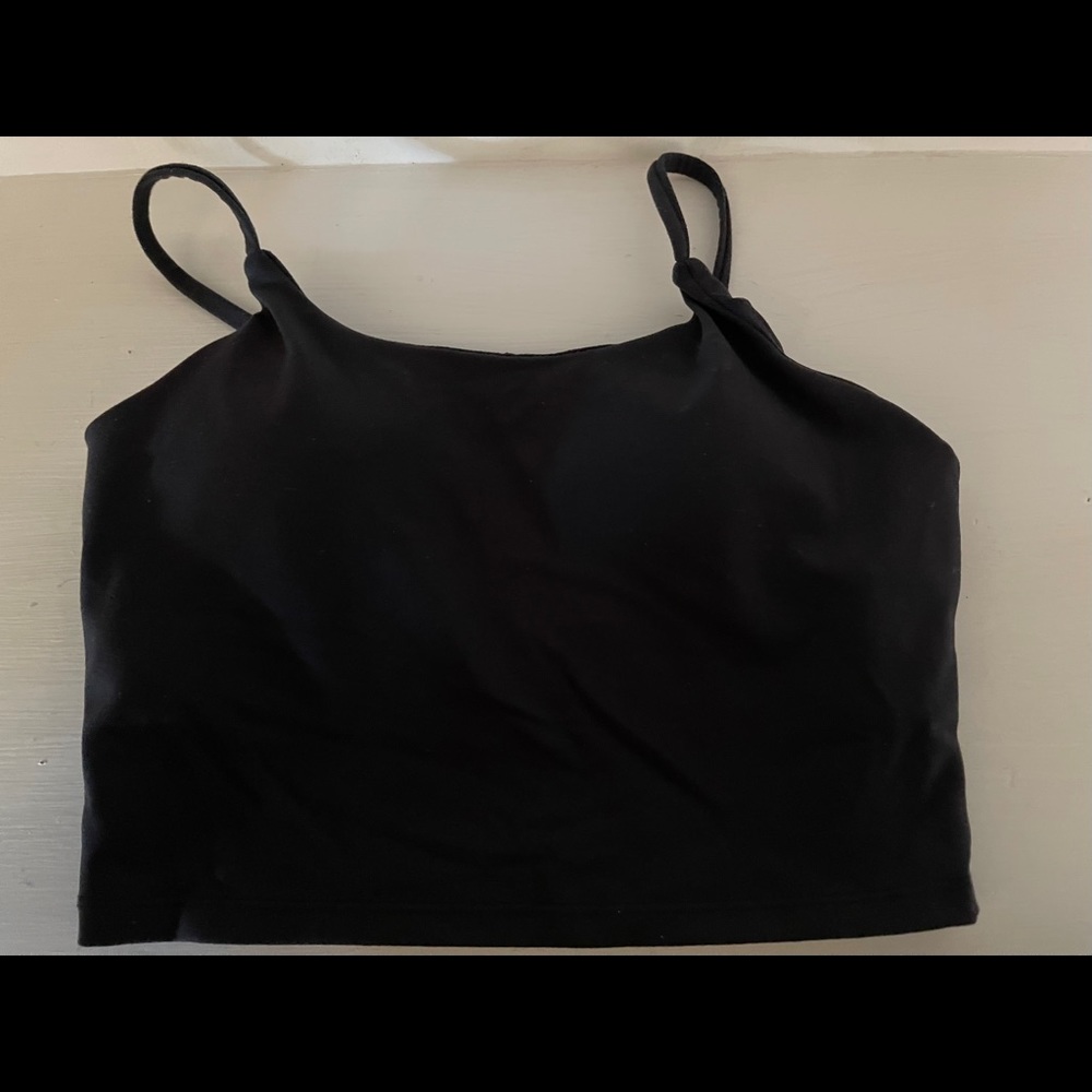 Paragon Sierra Crop